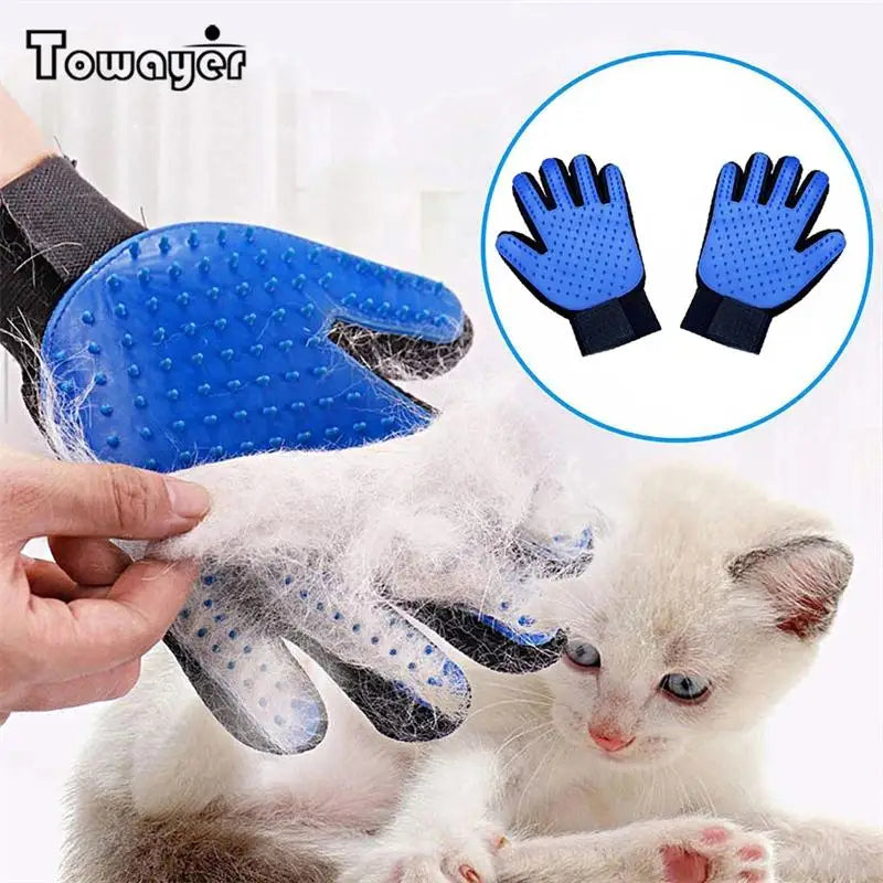 Cat Grooming