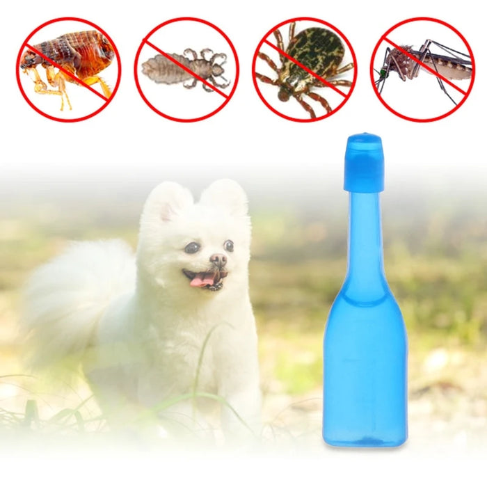 Pet Flea Lice Insect Killer For Dog Puppy Kitten