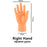 Cat Glove Cat Grooming Glove Pet Brush Glove for Cat Dog Hair Remove Brush Dog Deshedding Cleaning Combs Massage Gloves