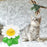 Cat Toy Electric Rotating Colorful Butterfly Bird Funny Dog Cat Toys Pet Seat Scratch Toy Pet Dog Cat Intelligence Trainning Toy