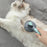 Shedding Groom One Key Dog Hair Self Cleaning Comb Special Pin Needle Massage Cleaner Pet Brush for Dog Cat Animal Fur Tools
