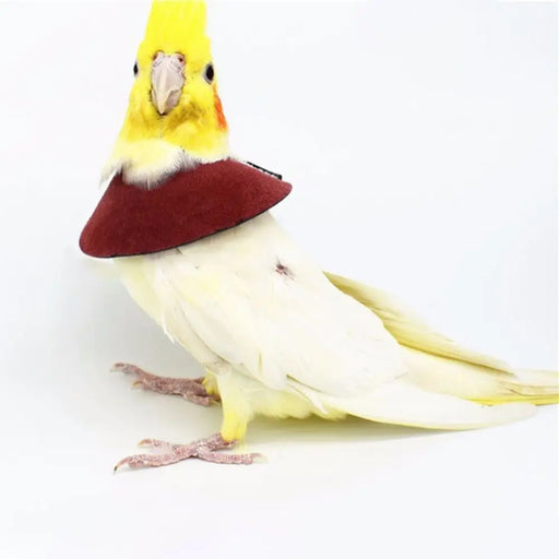 Anti-peckin Bird Accessories Anti-bite Adjustable Bird Recovery Collar Parrot Elizabethan Circle Bird Neck Sleeve Bird Cloak