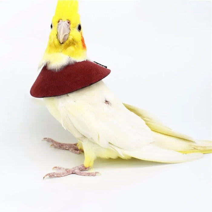 Anti-peckin Bird Accessories Anti-bite Adjustable Bird Recovery Collar Parrot Elizabethan Circle Bird Neck Sleeve Bird Cloak
