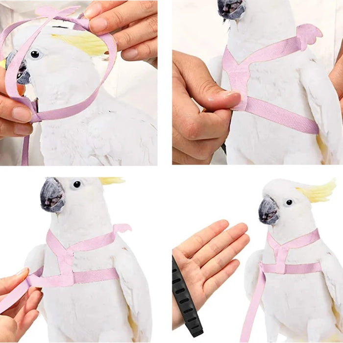 Parrot Flying Harness Leash Suit Macaw Accessories Stuff For Budgie Pet Bird Outdoor Flight Training Rope Cockatiel Supplies NEW