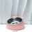 Cat Bowl Stainless Steel Cat Feeder Bowl with Non Slip Base Cat Food Water Feeder Tilted Pet Bowl Dogs Feeder Product Supplies