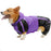 Corgi Dog Clothes Jumpsuit Waterproof Clothing Pembroke Welsh Corgi Dog Raincoat Hooded Rain Jacket Dropship Pet Outfit