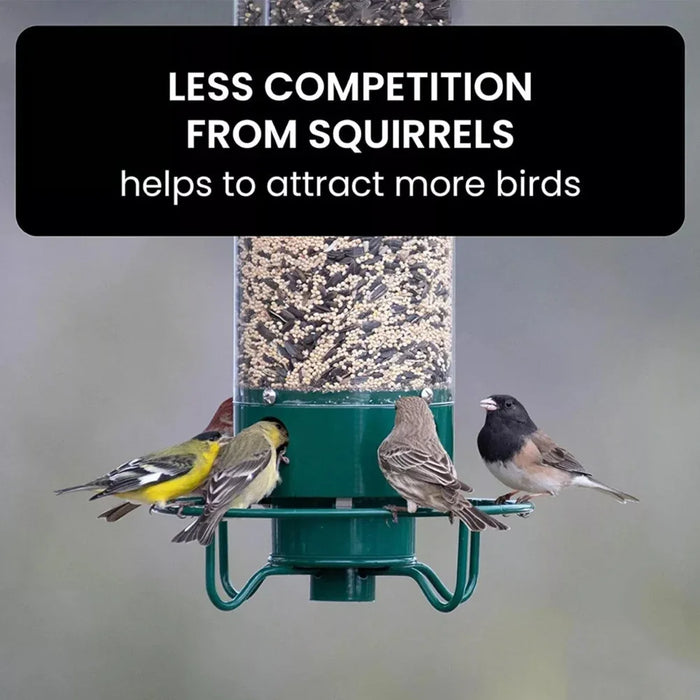 Squirrel-Proof Wild Bird Feeder Portable Bird Feeder For Garden Yard Outdoor Wrought Iron Hanging Hummingbird Feeder