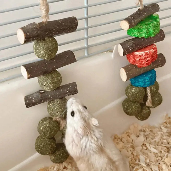 Gerbil Chew Toys Wooden Hamster Chews Oral Care Teether Funny Pet Supplies Hamster Toy For Ferrets Degus Guinea Pigs Chinchillas