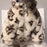 Dog Clothes Pet for Small Breeds Dogs Clothing Hoodie Winter Designer Suit Products Accessory Accessories Costume Medium