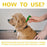 Dogs for Cat Flea and Tick Treatment for Small Medium Large Dogs Cats Topical Flea Treatments Pets Cleaning Care Supplie