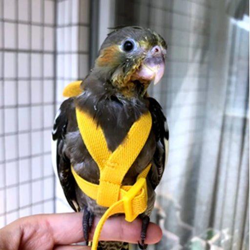 Parrot Flying Harness Leash Suit Macaw Accessories Stuff For Budgie Pet Bird Outdoor Flight Training Rope Cockatiel Supplies NEW