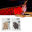Natural Barley Crickets & Worms Food for Reptiles & Fish – Premium Fodder for Optimal Nutrition
