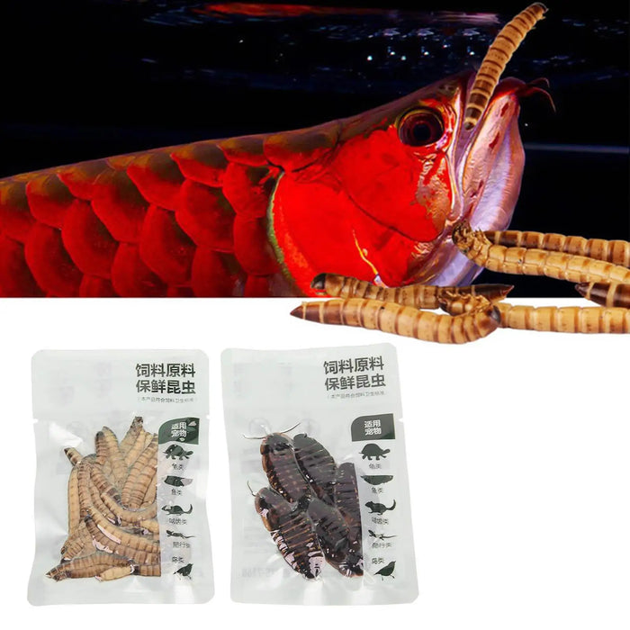 Natural Barley Crickets & Worms Food for Reptiles & Fish – Premium Fodder for Optimal Nutrition