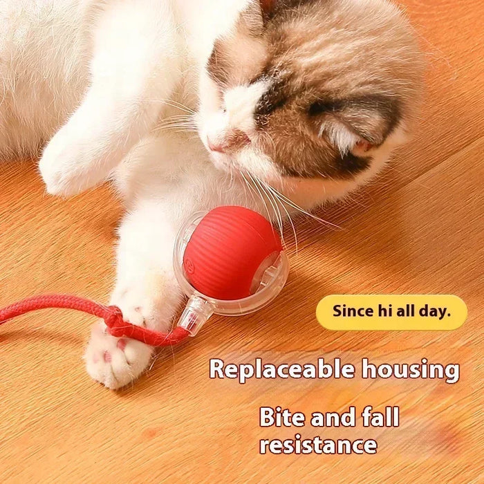 Interactive Toy Ball for Cats Cat Toys Interactive Automatic Electric Rolling Ball Toys Cats Pet Products Accessories Things
