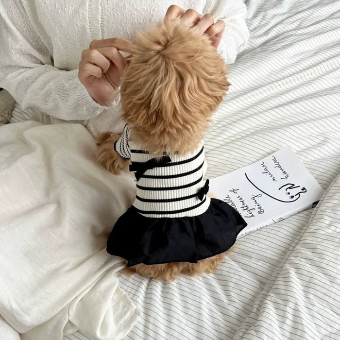 Dog Clothes for Small Dogs Summer Dog T-Shirt Pet Dog Skirt Black White Retro Dresses Puppy Costume Chihuahua Bichon Clothing