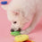 Dog Toys Encourage Natural Foraging Skills Slow Feeder for Training and Stress Relief, Cloth Strip Hiding Food Chew Toys for Any