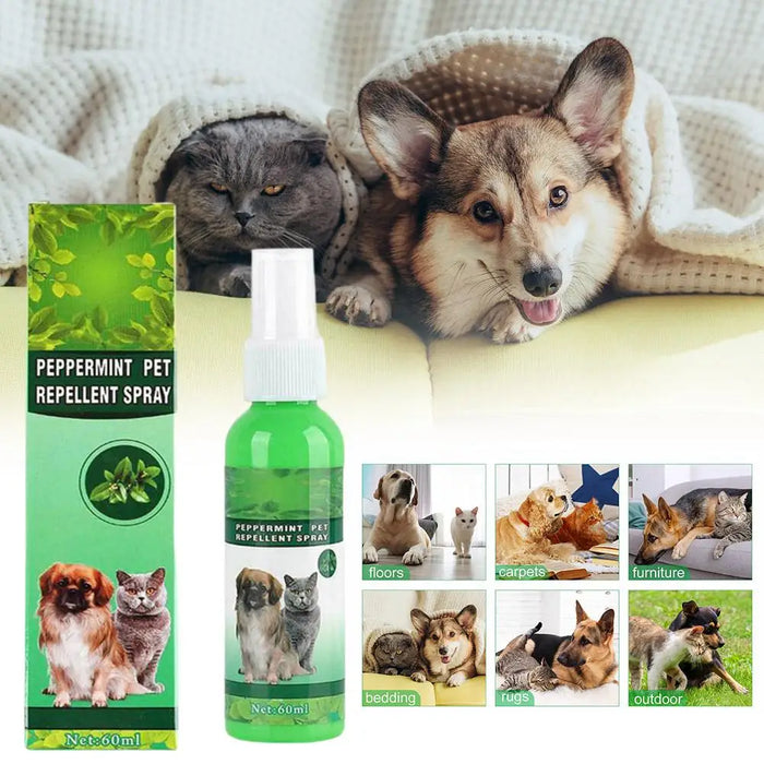 60ml Pet Pest Spray Pet Dog Anti-flea Mites Ticks Drops Kitten Pest Treatment Treatment Flea Puppy Kitten Puppy Spray M2n1