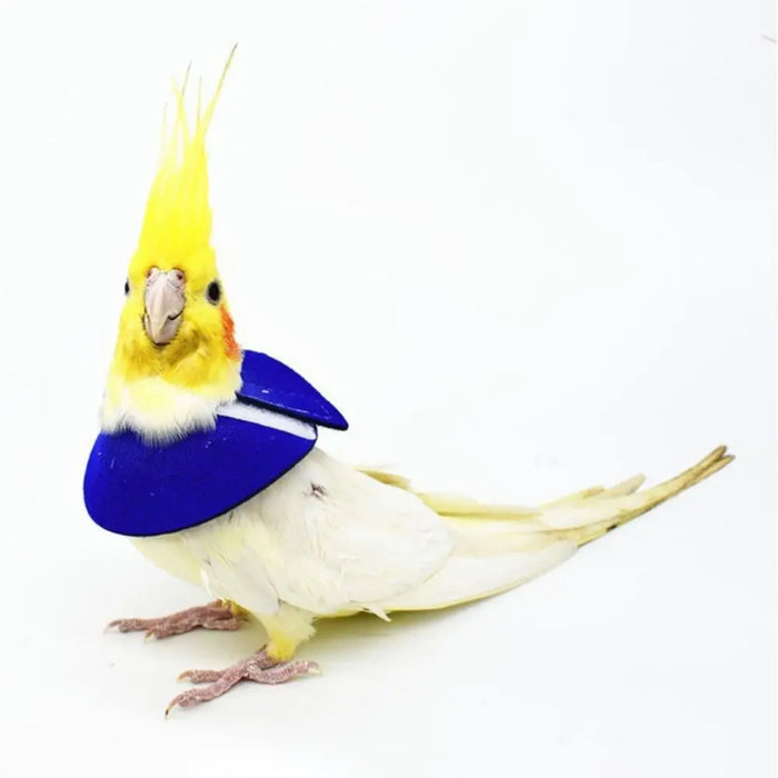 Anti-peckin Bird Accessories Anti-bite Adjustable Bird Recovery Collar Parrot Elizabethan Circle Bird Neck Sleeve Bird Cloak