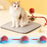 Interactive Toy Ball for Cats Cat Toys Interactive Automatic Electric Rolling Ball Toys Cats Pet Products Accessories Things