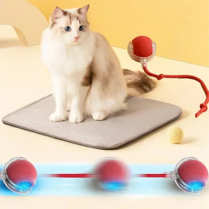 Interactive Toy Ball for Cats Cat Toys Interactive Automatic Electric Rolling Ball Toys Cats Pet Products Accessories Things