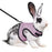 Harness with Leash Set for Rabbits Breathable Pet Vest for Rabbit Ferrets Guinea Pig Squirrel Adjustable Soft Small Pet Harness