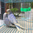 Automatic Bird Water Dispenser Bird Drinking Feeder Transparent Bird Cage Water Fountain for Budgie Cockatiel Lovebird Canary