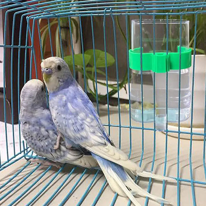 Automatic Bird Water Dispenser Bird Drinking Feeder Transparent Bird Cage Water Fountain for Budgie Cockatiel Lovebird Canary