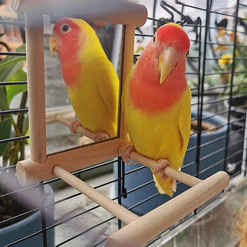 Bird Accessories