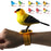 Simulation Electronic Bird Toys for Kids Electric Singing Bird Toy Cute Interactive Bird Toy with Motion & Sound Control