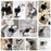 Dog Clothes for Small Dogs Summer Dog T-Shirt Pet Dog Skirt Black White Retro Dresses Puppy Costume Chihuahua Bichon Clothing