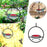 Circular Hanging Hummingbird Feeder Water Feeders for Bird Courtyard Gardens Bird Supplies