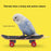 Bird Playtime Accessory Flexible Wheel Parrot Scooter Mini Skateboard Toy for Budgies Parakeets Fun Bird Training Accessories