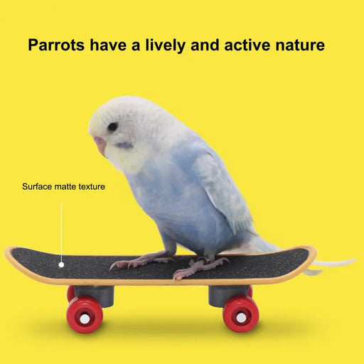 Bird Playtime Accessory Flexible Wheel Parrot Scooter Mini Skateboard Toy for Budgies Parakeets Fun Bird Training Accessories