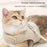 Cat Harness And Leash Set For Walking Kitten And Cats Escape Proof Kitten Harness With Breathable Lightweight Soft Mesh
