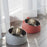 Cat Bowl Stainless Steel Cat Feeder Bowl with Non Slip Base Cat Food Water Feeder Tilted Pet Bowl Dogs Feeder Product Supplies