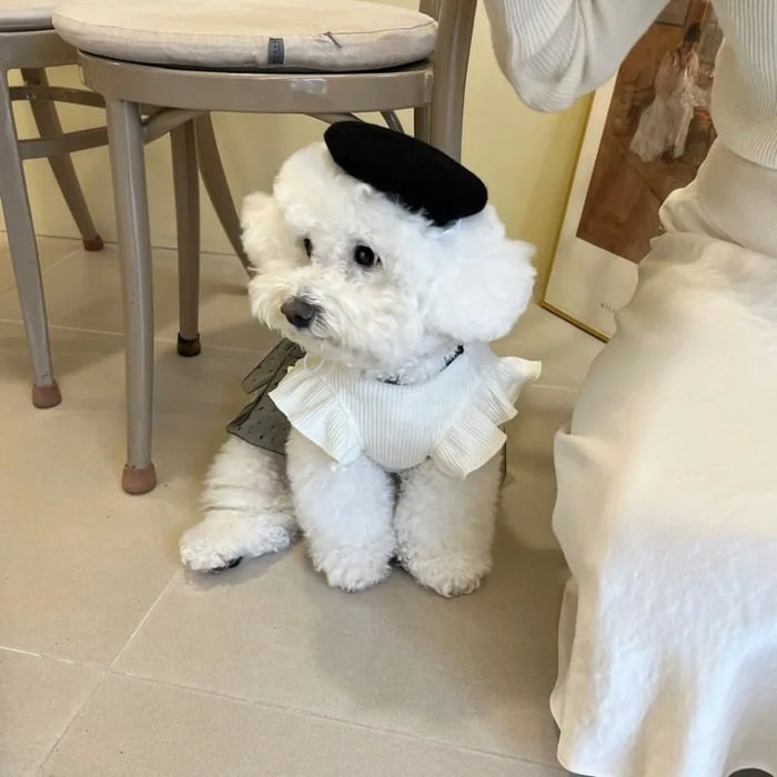 Dog Clothes for Small Dogs Summer Dog T-Shirt Pet Dog Skirt Black White Retro Dresses Puppy Costume Chihuahua Clothing