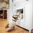 Dog Cat Flap Door with 4 Way Security Lock Transparent ABS Plastic Gate Four sizes（S/M/L/XL） Flap Doors Cat & Puppy Safety Gate