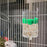 Bird Feeder Waterer With Clip Birds Food Dispenser Bottle Parrot Drinking Cup Bowls Pet Suppplies