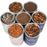 Yee Reptile Turtle Tortoise Hamster Food Feed Dried Fish Shrimp Mealworm Bread Worm Aquarium