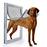 Pet Door for Doors High Quality ABS Flame PVC Enter Outer Flap Door Anti Raining Door Cover Extra Insulated & Cold Weather