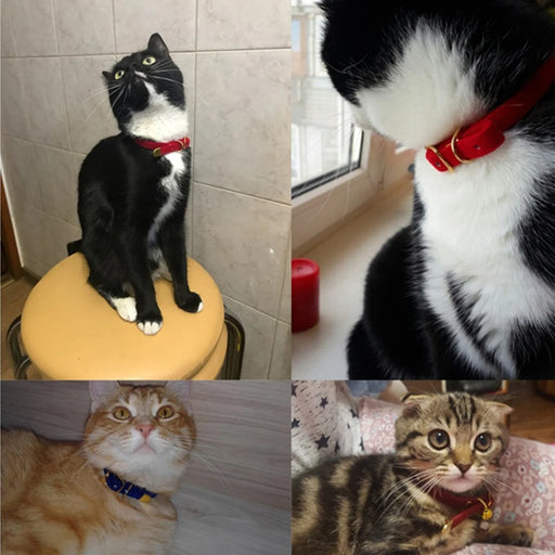 Cat Collar With Safety Cat Collars Adjustable Puppy Dog Collar For  Small Dogs Kittens Solid Pet Collarhu Products cat necklace