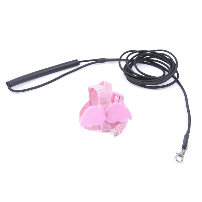 Parrot Flying Harness Leash Suit Macaw Accessories Stuff For Budgie Pet Bird Outdoor Flight Training Rope Cockatiel Supplies NEW