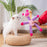 Elephant Pet Push Toys, Dogs, Self Relieving and Vocalizing Toys, Cat Teeth Grinding and Bite Resistant Interactive Toys