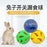 Rabbit Treat Ball Pet Slow Feeder Interactive Bunny Toy Snack Toy Ball Bite Resistant Feeding Toys Ferret Kitty Guinea Pig Cat