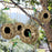 Birds Nest Bird Cage Natural Reed Grass Spherical Hummingbird Nest Outdoor Decorative Weaved Hanging Bird Nest Hous Pet Bedroom