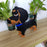 Dachshund Dog Model Micro Mini Building Blocks Set Educational Recreation Toys Pet Lover Gift Decoration Bricks Party Gift