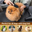 Pet Grooming Detangler Pin Dog Brush for Shedding & Removing Loose Fur, Lightweight ABS with Gold Plated Pins for Long Hair