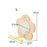 Bird Mirror Wooden Interactive Play Toy With Perch For Small Parrot Budgies Parakeet Cockatiel Conure Lovebird Cage Accessories