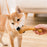 Deer Antlers Chew for Dogs Chew Toys for Large Breeds Training Pets Object Toys Durable Chew Toys Tough Wooden Stick Toy