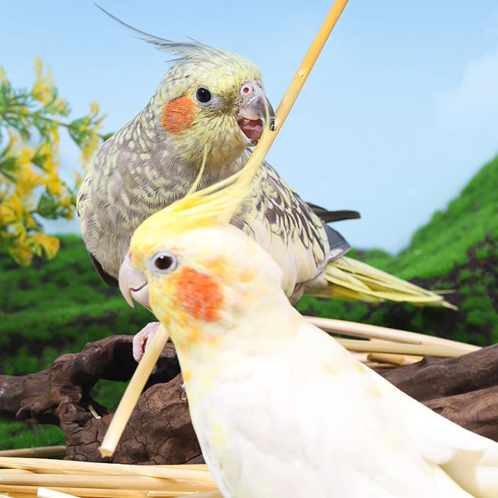 3/100g Ball Bird Toy Natural Pet Parrot Bite Toys Budgies Cockatoo Parakeet Cockatiels Lovebird Cage Teething Toy Nest Decor ﻿